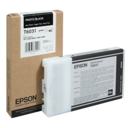 EPSON Tintenpatrone Foto schwarz T6031