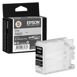 EPSON Tintenpatrone grau T46S7