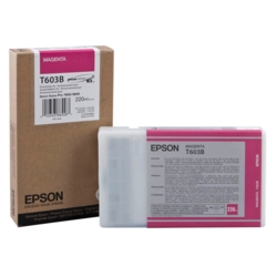 EPSON Tintenpatrone magenta T603B