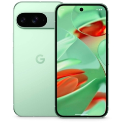 Google Pixel 9 Dual-SIM-Smartphone wintergrn 256 GB