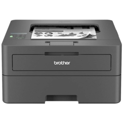 brother HL-L2400DW Laserdrucker grau